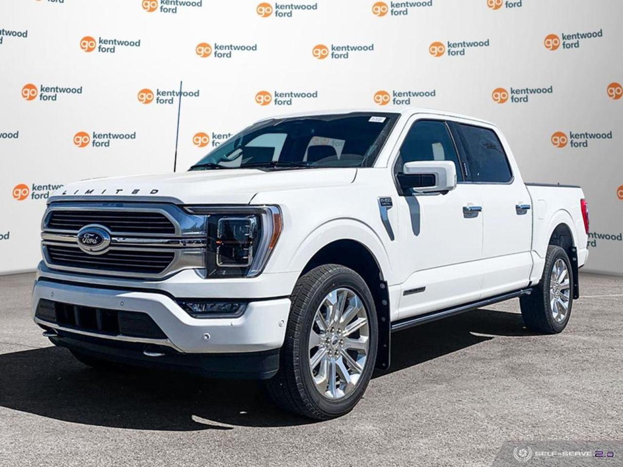 New 2023 Ford F-150  for sale in Edmonton, AB