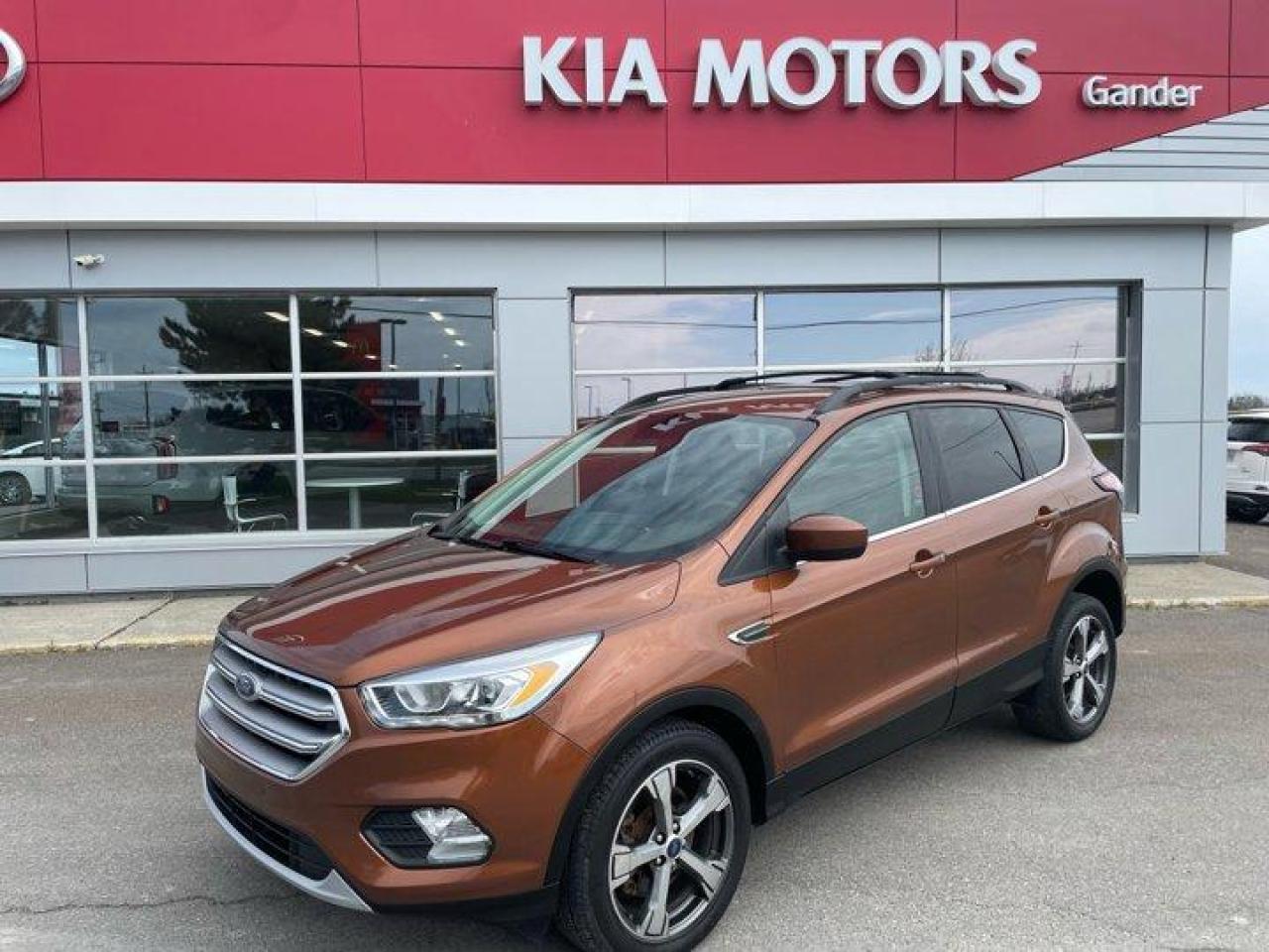 Used 2017 Ford Escape SE for sale in Gander, NL