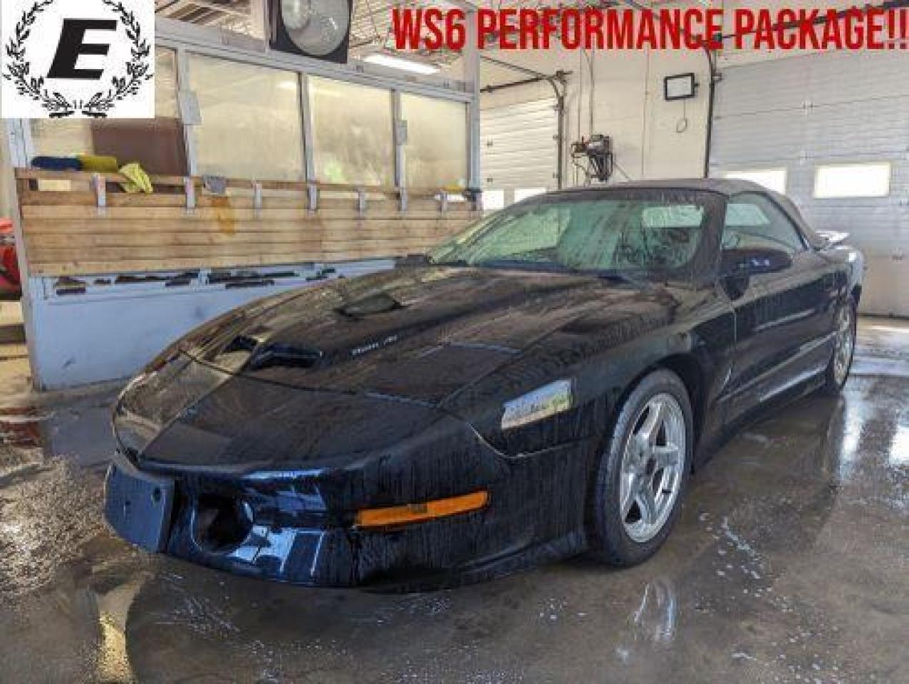 Used 1997 Pontiac Firebird Trans Am WS6 PERFORMANCE PACKAGE!! for sale in Barrie, ON