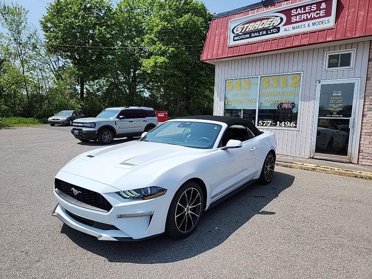 Used 2022 Ford Mustang EcoBoost for sale in Morrisburg, ON