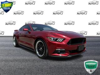 Used 2015 Ford Mustang V6 Must See Condition for sale in St. Thomas, ON