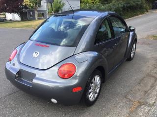 2005 Volkswagen New Beetle  - Photo #2