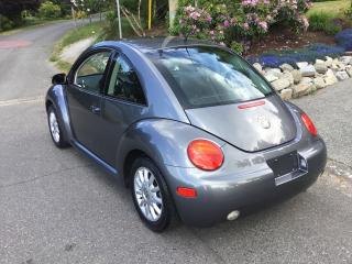 2005 Volkswagen New Beetle  - Photo #8