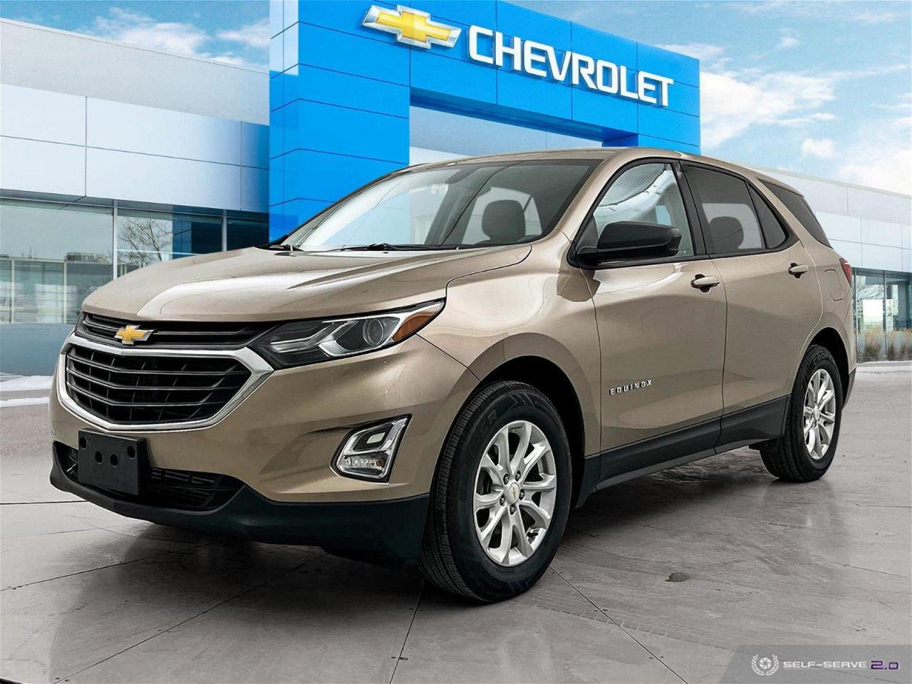 Used 2019 Chevrolet Equinox LS for sale in Winnipeg, MB