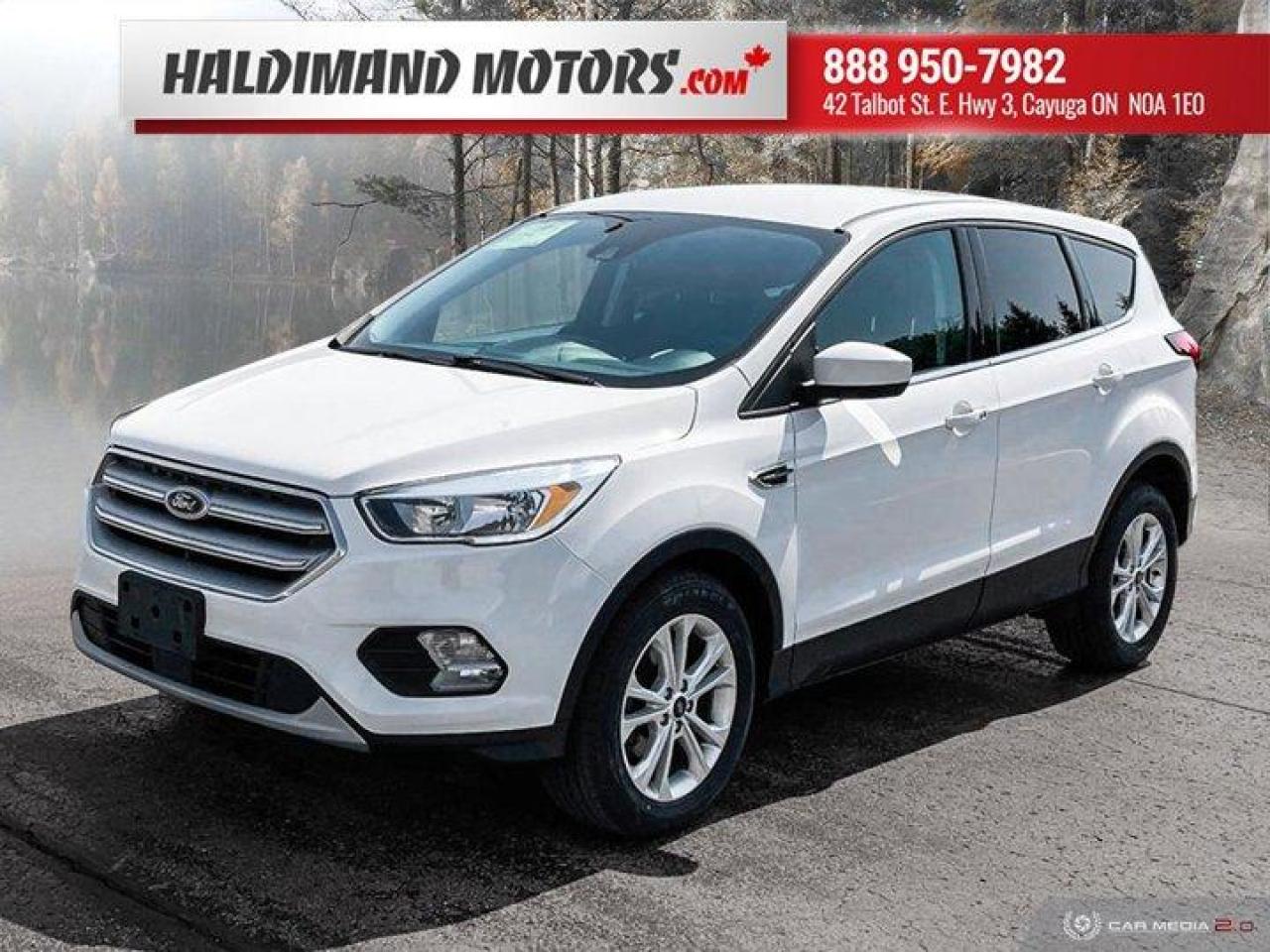 Used 2019 Ford Escape SE for sale in Cayuga, ON