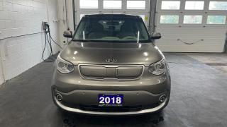 2018 Kia Soul EV EV Luxury - Photo #2