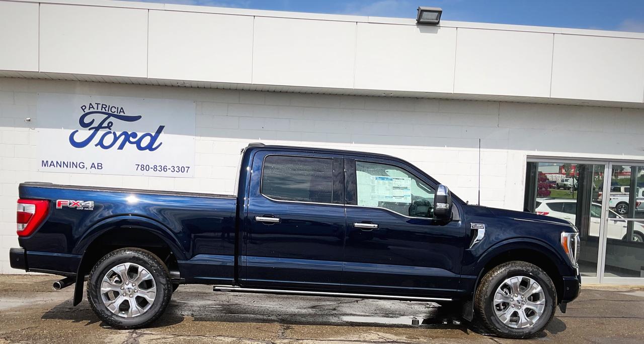 Image - 2023 Ford F-150 PLATINUM