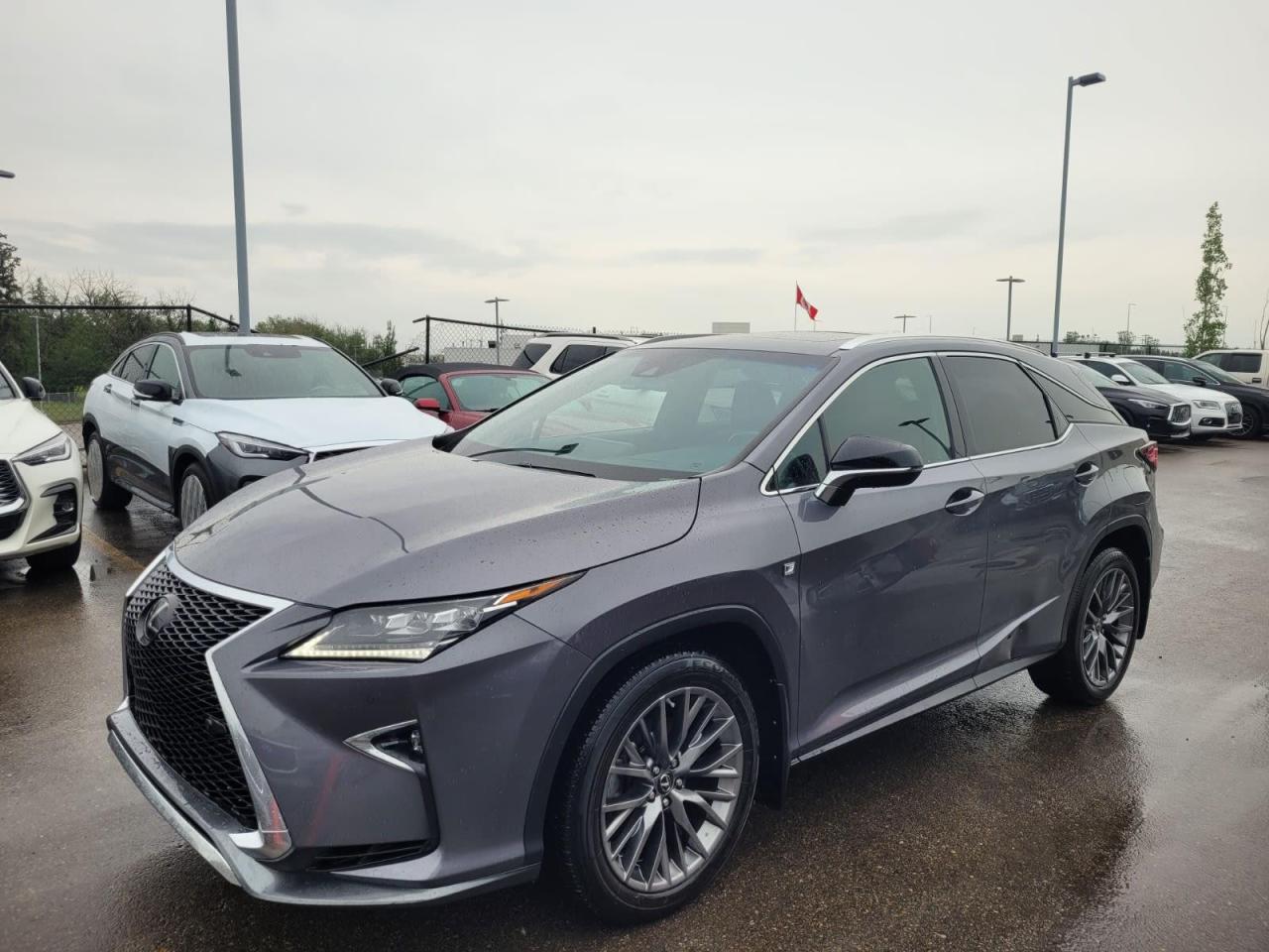 Used 2019 Lexus RX  for sale in Edmonton, AB