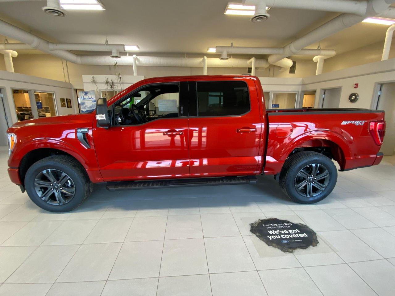 2023 Ford F-150 XLT 4WD SUPERCREW 5.5' BOX