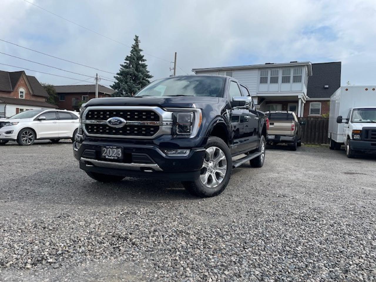 2023 Ford F-150 PLATINUM Photo0