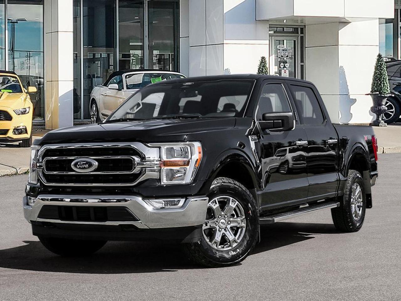 New 2023 Ford F-150 XLT for sale in Kingston, ON