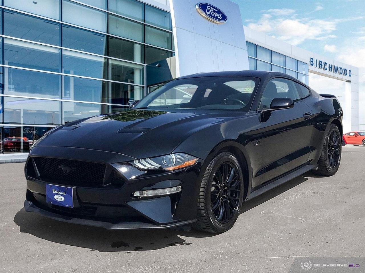Used 2019 Ford Mustang GT Black Pack | 10 Speed | Only 15,000 kms ! for sale in Winnipeg, MB