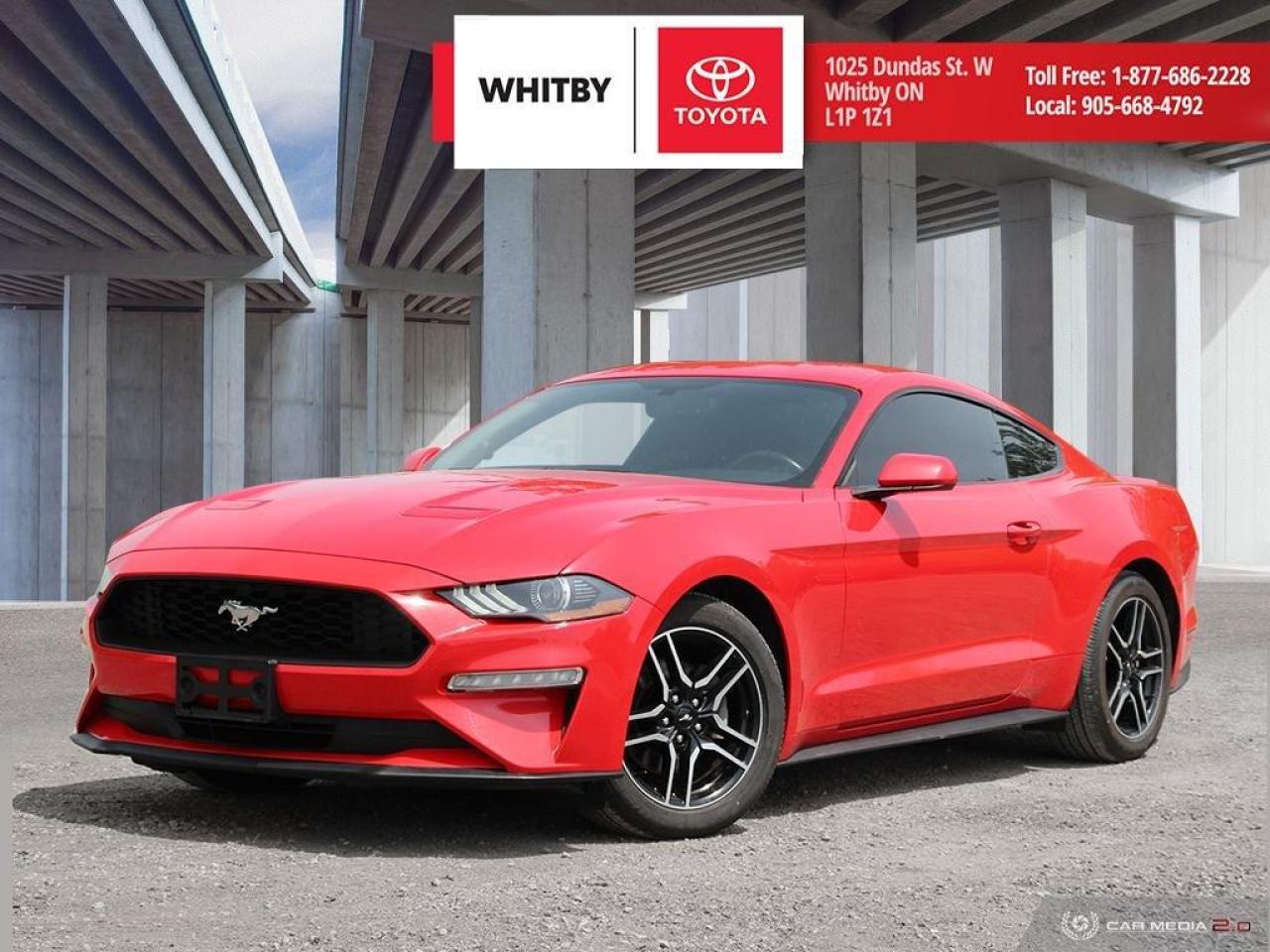 Used 2019 Ford Mustang  for sale in Whitby, ON