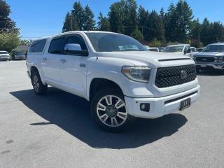 Used 2019 Toyota Tundra Platinum 5.7L V8 for sale in Surrey, BC