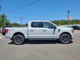 2023 Ford F-150 XLT 4WD SUPERCREW 5.5' BOX Photo