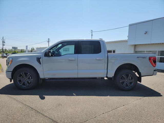 2023 Ford F-150 XLT 4WD SUPERCREW 5.5' BOX Photo4