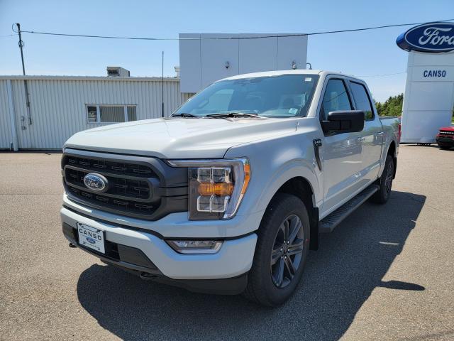 2023 Ford F-150 XLT 4WD SUPERCREW 5.5' BOX Photo3