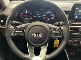 2019 Kia Forte EX+LaneKeep+Camera+Blind Spot+CLEAN CARFAX Photo64