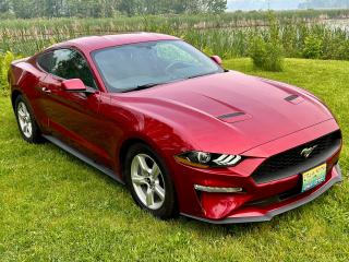 Used 2018 Ford Mustang EcoBoost Fastback With Only 40400 km $121.00 weekl for sale in Perth, ON