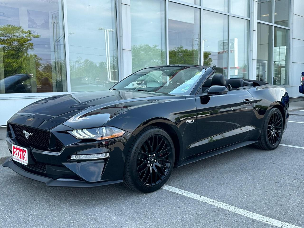 Used 2019 Ford Mustang GT Premium 5.0L GT PREMIUM CONVERTIBLE! for sale in Cobourg, ON