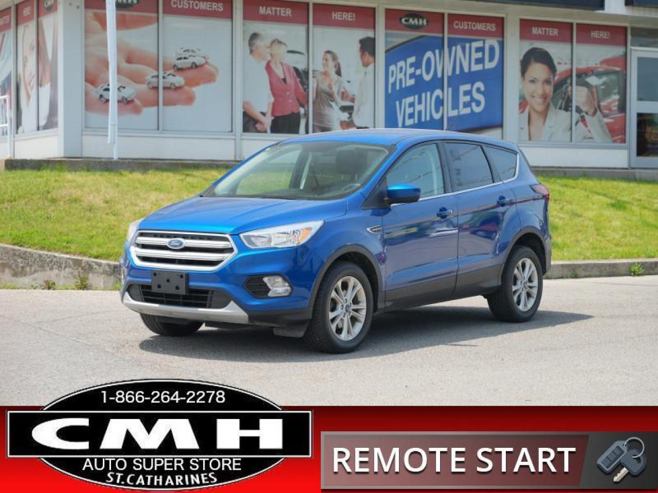 2019 Ford Escape SE  **NO ACCIDENTS - GREAT COLOUR**