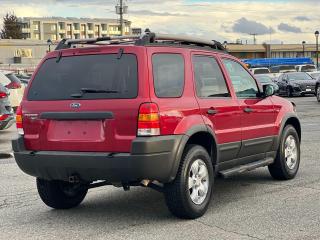 2004 Ford Escape 4dr XLT Duratec 4WD - Photo #5