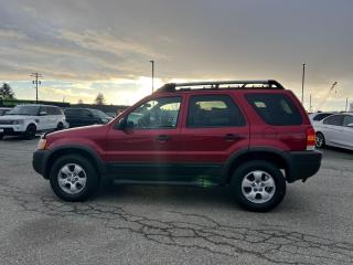 2004 Ford Escape 4dr XLT Duratec 4WD - Photo #7