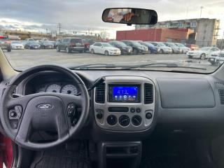 2004 Ford Escape 4dr XLT Duratec 4WD - Photo #10