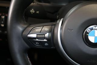 2015 BMW M3 - MANUAL|425 HP|CARBON ROOF|BLINDSPOT|2RIMS&TIRE - Photo #24