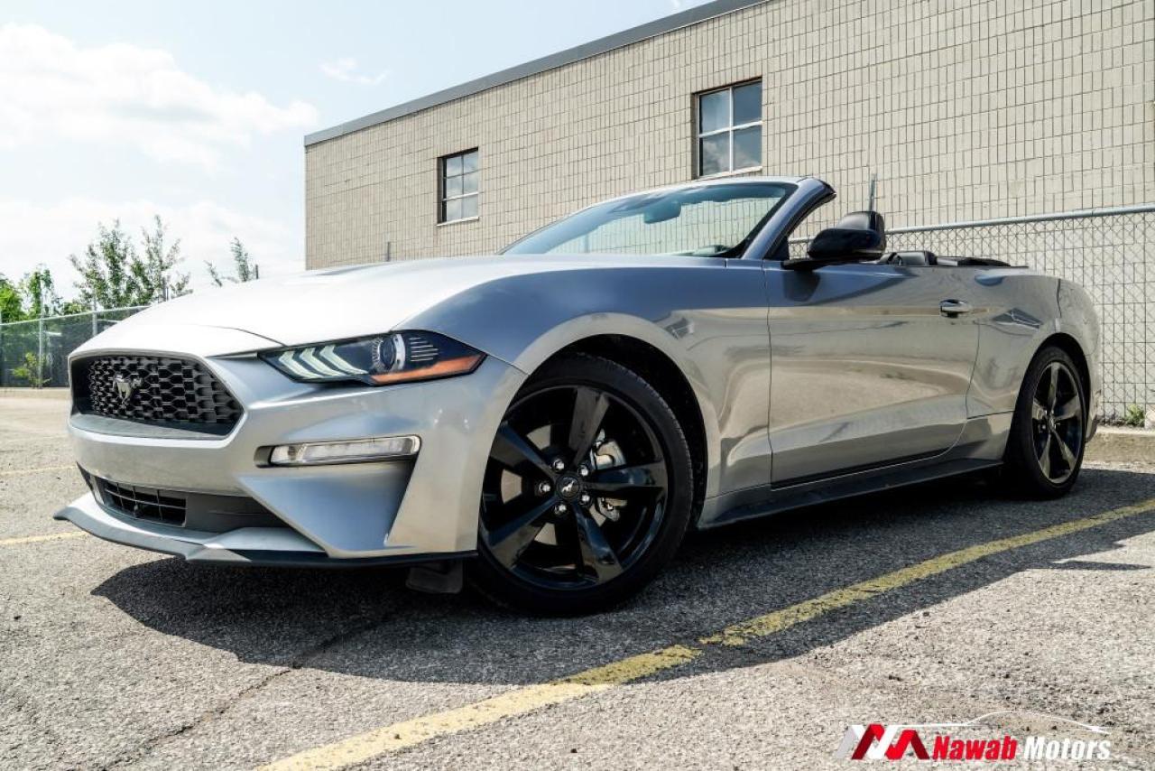 2021 Ford Mustang ECOBOOST FASTBACK|LEATHER INTERIOR|HEATED SEATS|ALLOYS| Photo2