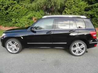 2011 Mercedes-Benz GLK350 4 MATIC DOC FEE ONLY $ 195.00 - Photo #3