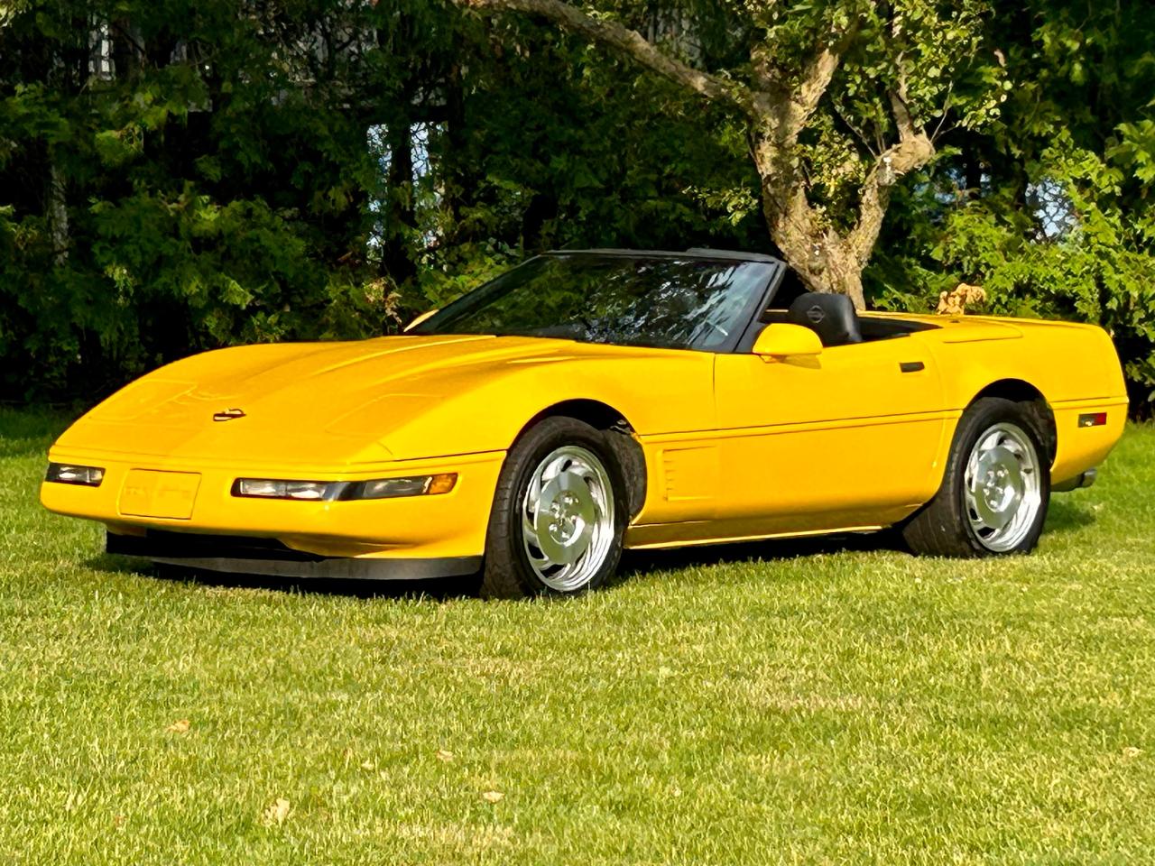 1995 Chevrolet Corvette With only 34000 km - Photo #33