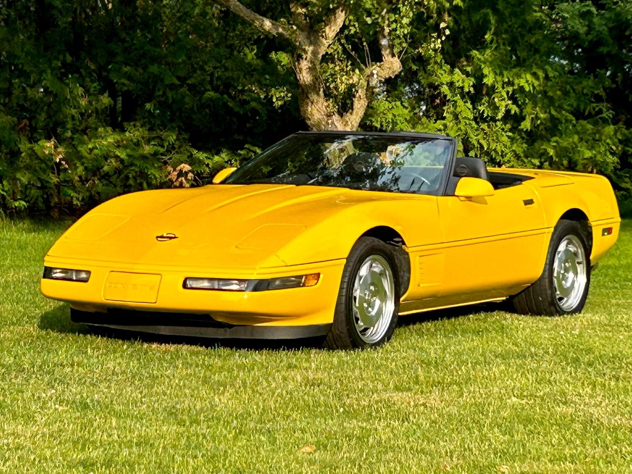 1995 Chevrolet Corvette With only 34000 km - Photo #34