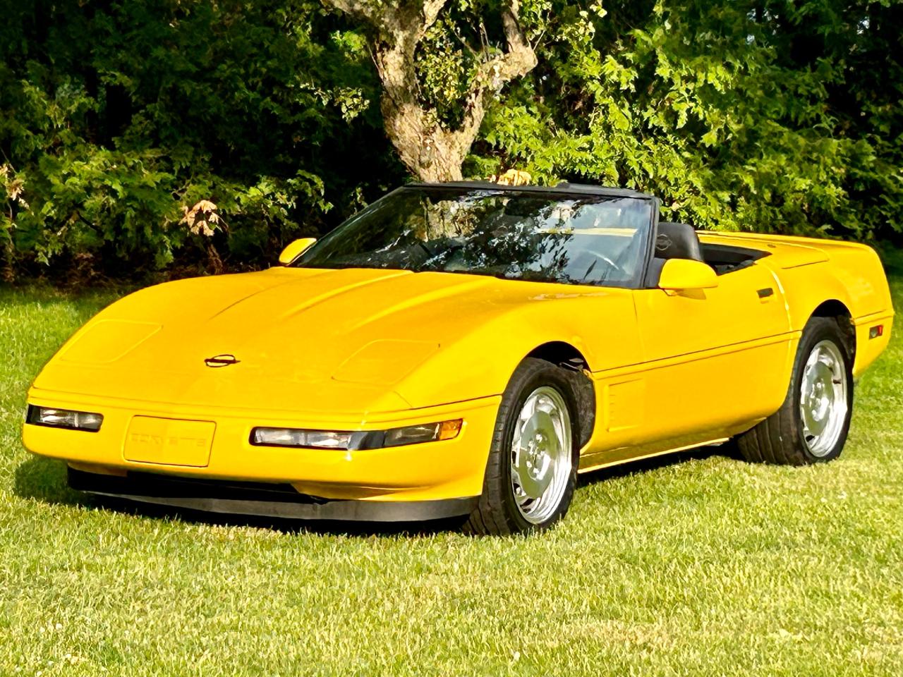 1995 Chevrolet Corvette With only 34000 km - Photo #38