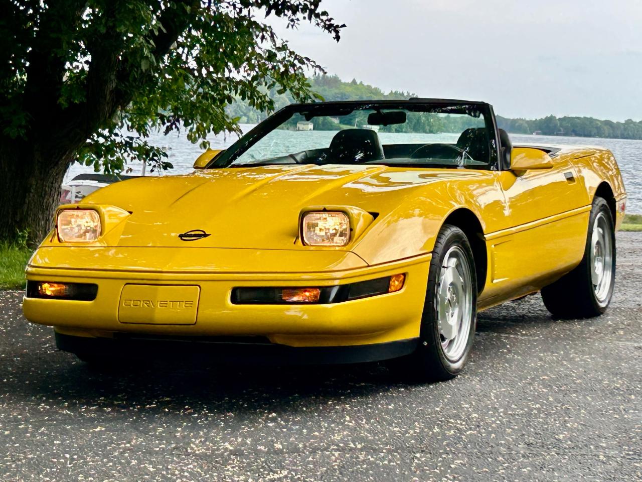 1995 Chevrolet Corvette With only 34000 km - Photo #44
