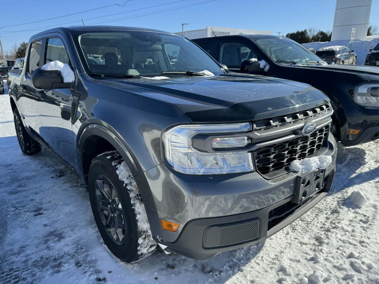 2023 Ford Maverick XLT Photo4