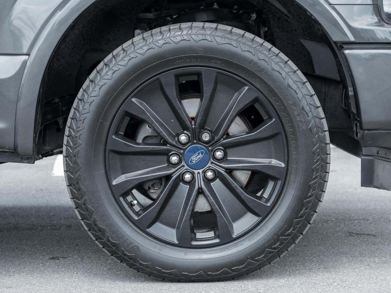 2019 Ford F-150 XLT Photo