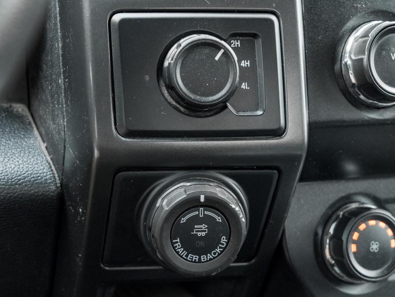 2019 Ford F-150 XLT Photo