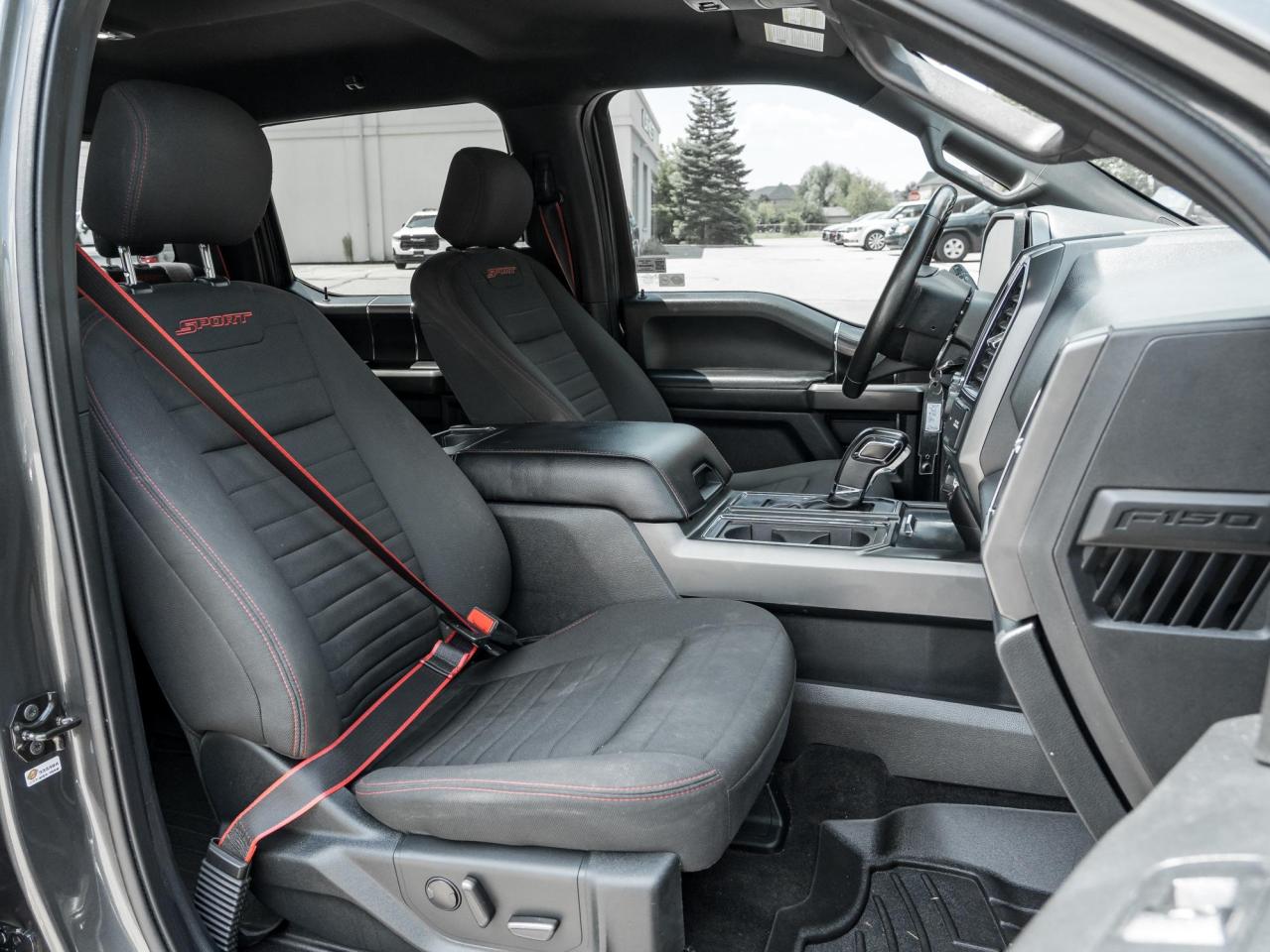 2019 Ford F-150 XLT Photo