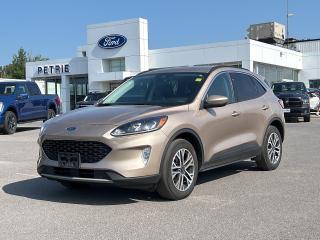 Used 2021 Ford Escape SEL for sale in Kingston, ON