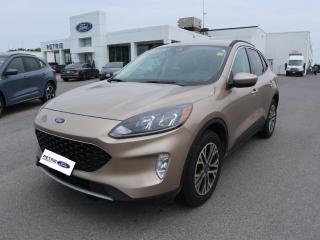 Used 2021 Ford Escape SEL for sale in Kingston, ON