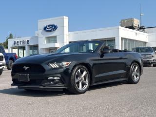 Used 2016 Ford Mustang V6 for sale in Kingston, ON