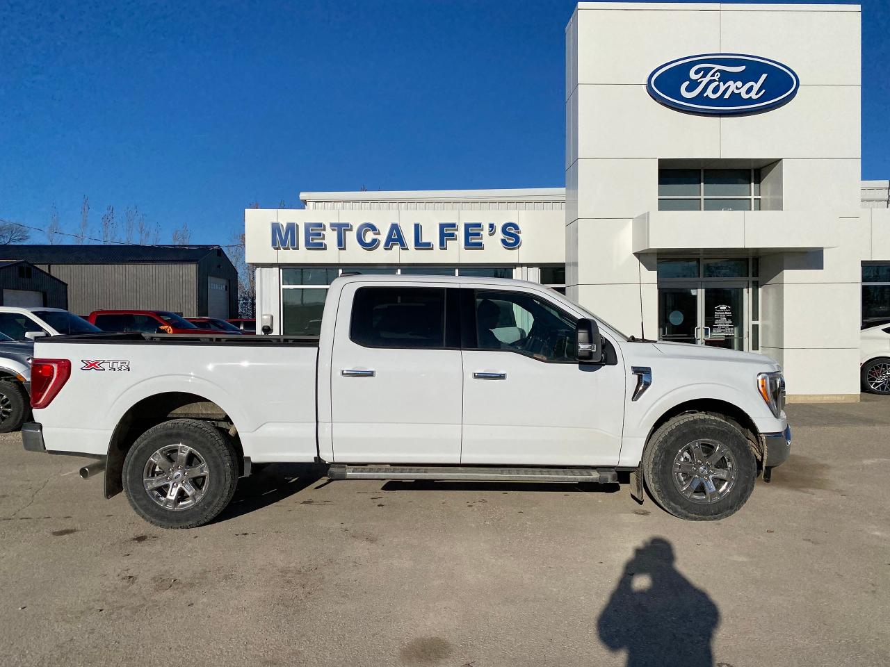 New 2023 Ford F-150 XLT 4WD SUPERCREW 6.5' BOX for sale in Treherne, MB