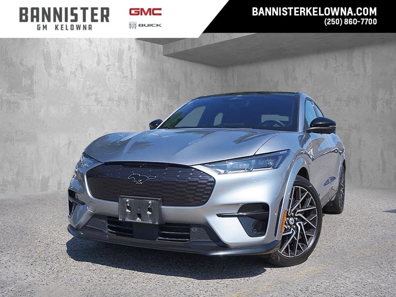 2021 Ford Mustang Mach-E GT Performance Edition Photo22