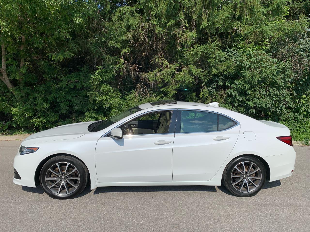 2015 Acura TLX 4dr Sdn SH-AWD V6-ONLY 115,559KMS!! 1 LOCAL OWNER! Photo3