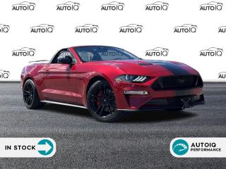 Used 2023 Ford Mustang GT Premium Must See This Beauty Tons Of  Aftermarket Upgrades Call For Details Must See!! for sale in Oakville, ON