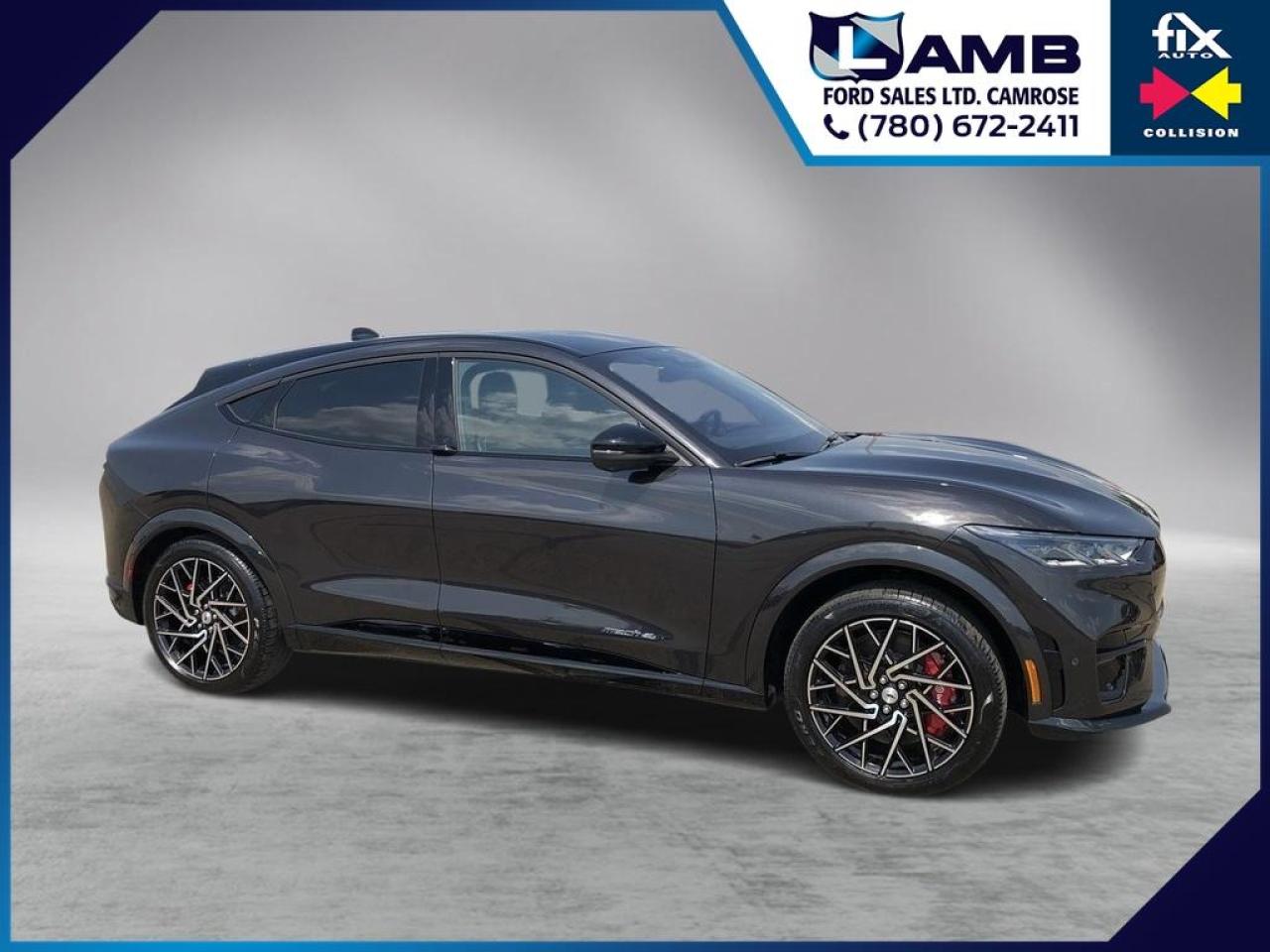 Image - 2022 Ford Mustang Mach-E GT Performance Edition