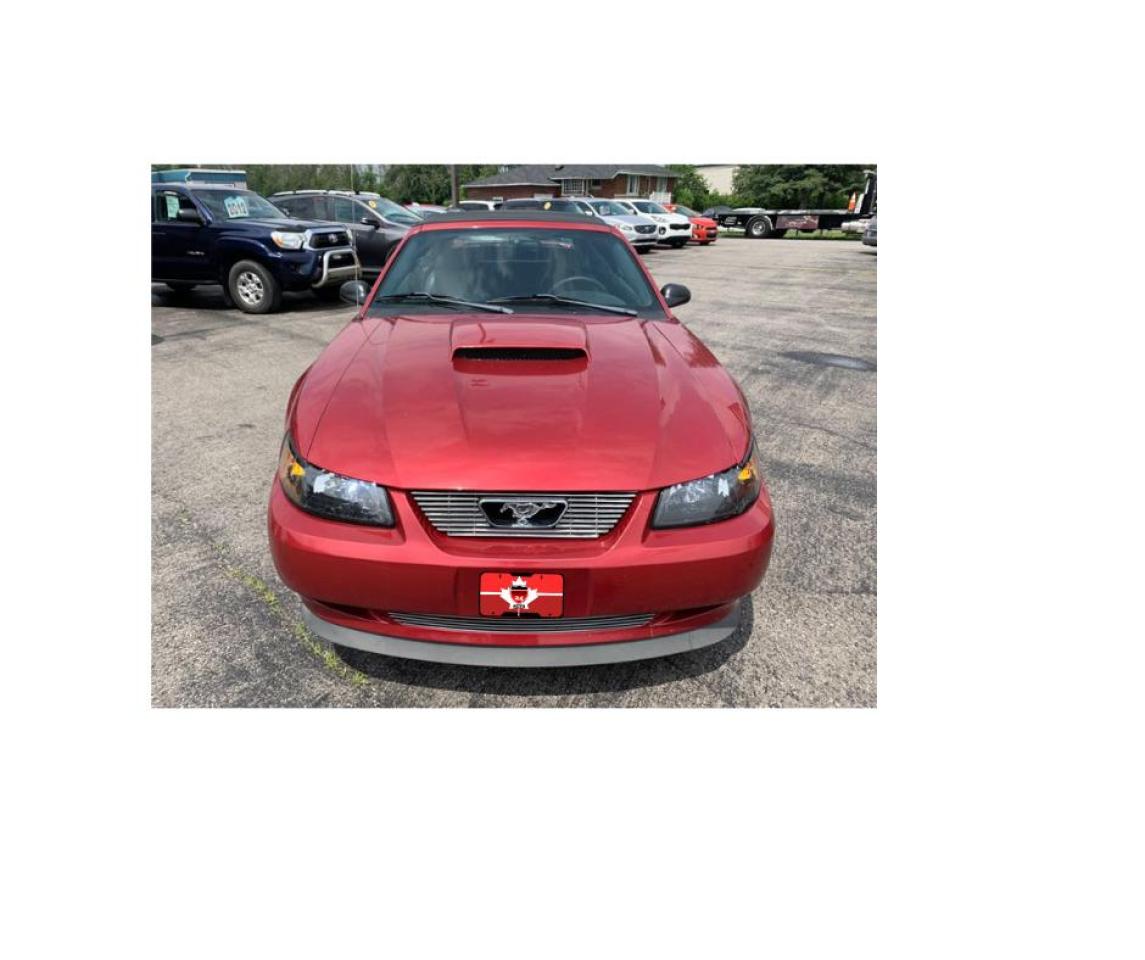 2004 Ford Mustang 