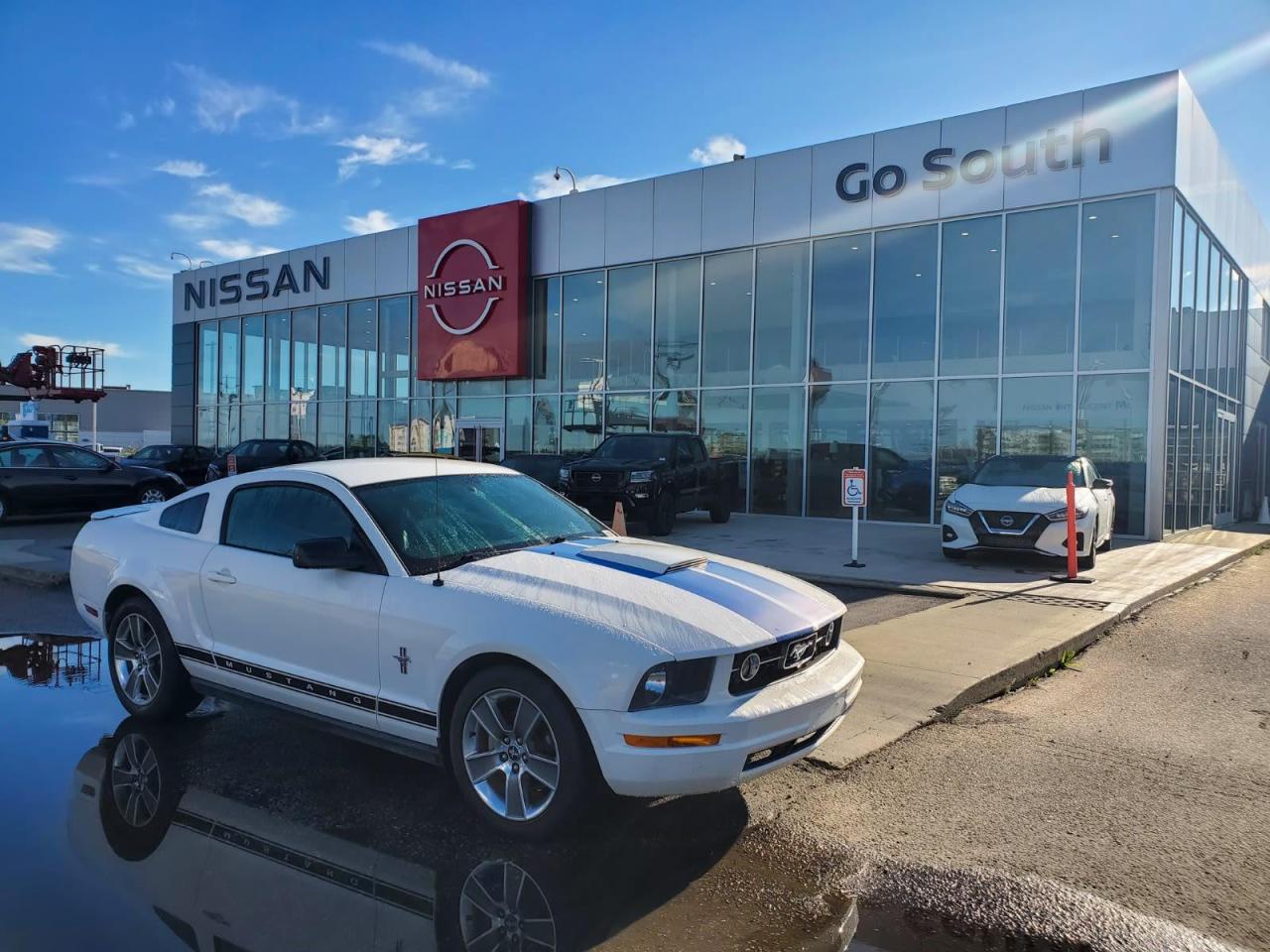 Used 2008 Ford Mustang  for sale in Edmonton, AB