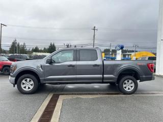 2023 Ford F-150 XLT  - Trailer Hitch Photo